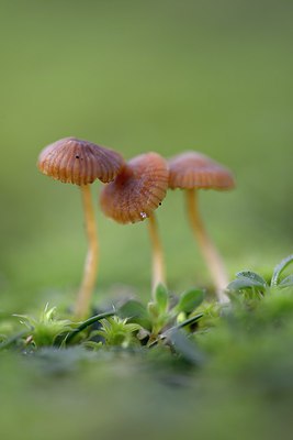 BUITEN BEELD Foto: 270557