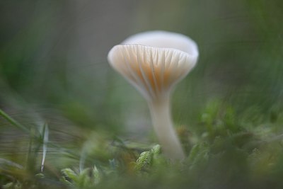 BUITEN BEELD Foto: 270562