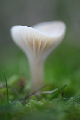 BUITEN BEELD Foto: 270563