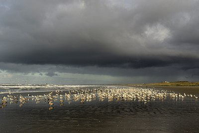BUITEN BEELD Foto: 270565