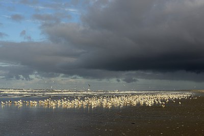 BUITEN BEELD Foto: 270567