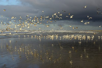 BUITEN BEELD Foto: 270568