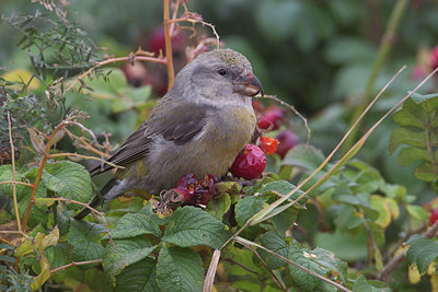 BUITEN BEELD Foto: 270591