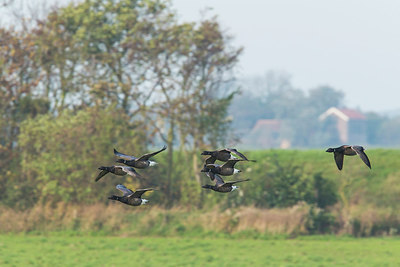 BUITEN BEELD Foto: 270602