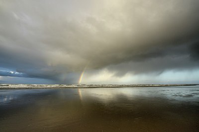 BUITEN BEELD Foto: 270640