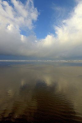 BUITEN BEELD Foto: 270661