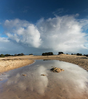 BUITEN BEELD Foto: 270666