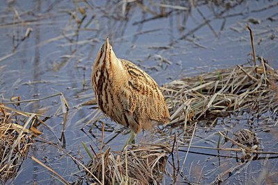 BUITEN BEELD Foto: 270678