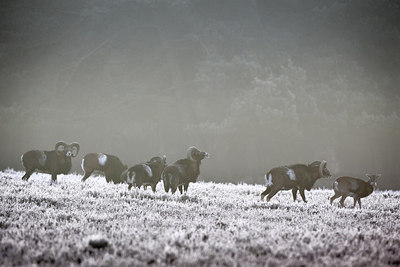 BUITEN BEELD Foto: 270683