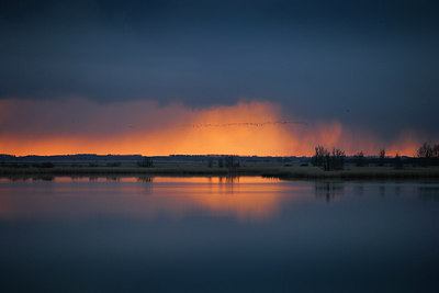 BUITEN BEELD Foto: 270686
