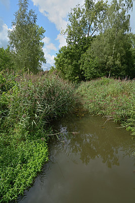 BUITEN BEELD Foto: 270706