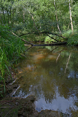 BUITEN BEELD Foto: 270707