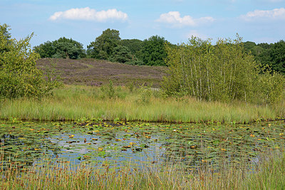 BUITEN BEELD Foto: 270718