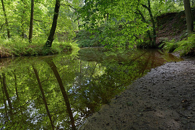 BUITEN BEELD Foto: 270722