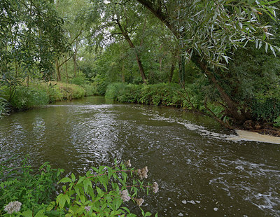 BUITEN BEELD Foto: 270724