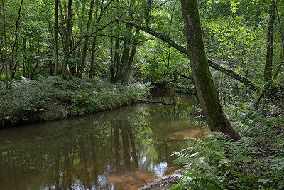 BUITEN BEELD Foto: 270726