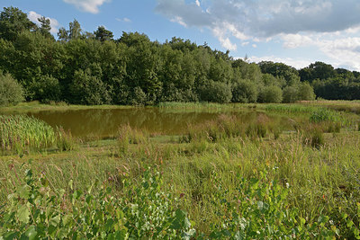 BUITEN BEELD Foto: 270728