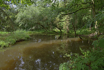 BUITEN BEELD Foto: 270734