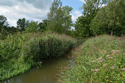 BUITEN BEELD Foto: 270735