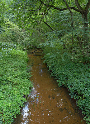 BUITEN BEELD Foto: 270738