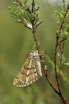 BUITEN BEELD Foto: 270778