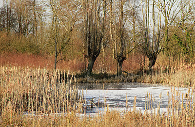 BUITEN BEELD Foto: 270809