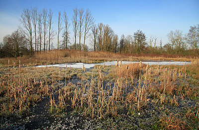 BUITEN BEELD Foto: 270810