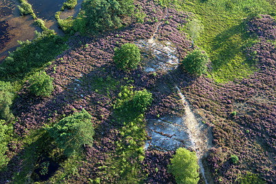 BUITEN BEELD Foto: 270877