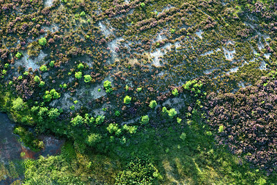 BUITEN BEELD Foto: 270878
