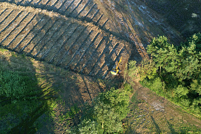 BUITEN BEELD Foto: 270890