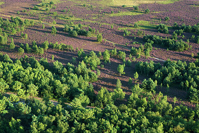 BUITEN BEELD Foto: 270903