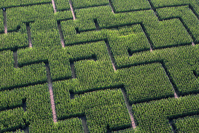 BUITEN BEELD Foto: 270906