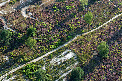 BUITEN BEELD Foto: 270928