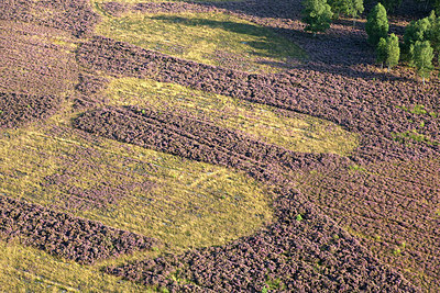 BUITEN BEELD Foto: 270967