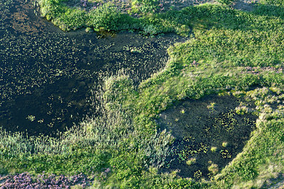 BUITEN BEELD Foto: 270977