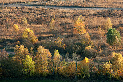 BUITEN BEELD Foto: 270996
