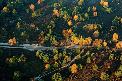 BUITEN BEELD Foto: 271001