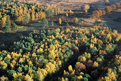 BUITEN BEELD Foto: 271027