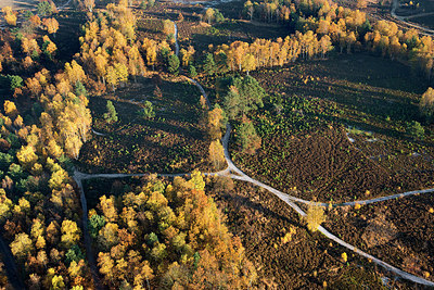 BUITEN BEELD Foto: 271030