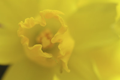 BUITEN BEELD Foto: 271135