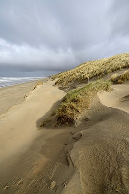 BUITEN BEELD Foto: 271366