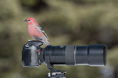 BUITEN BEELD Foto: 271373