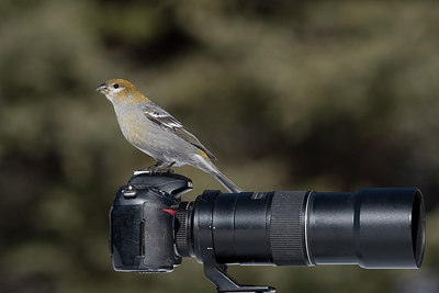 BUITEN BEELD Foto: 271379