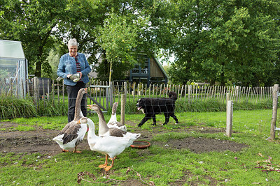 BUITEN BEELD Foto: 271403