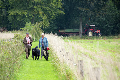 BUITEN BEELD Foto: 271404