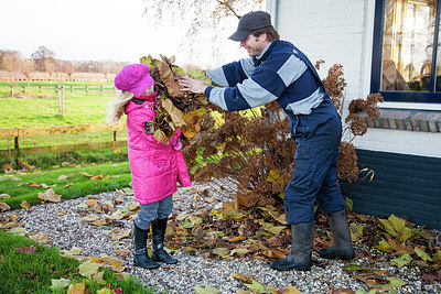 BUITEN BEELD Foto: 271424