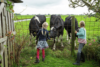 BUITEN BEELD Foto: 271428