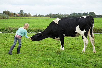 BUITEN BEELD Foto: 271430