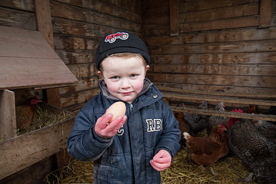 BUITEN BEELD Foto: 271454