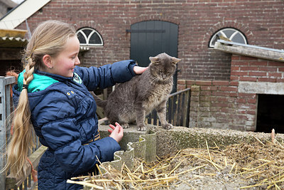 BUITEN BEELD Foto: 271458